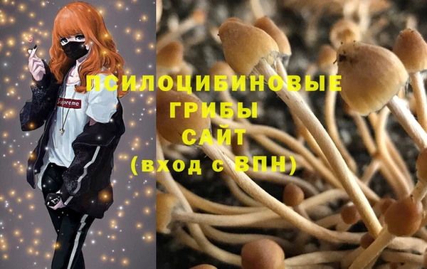 таблы Богданович