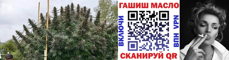 ТГК гашишное масло  дарнет шоп  Тбилисская 